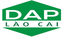 DAP số 2